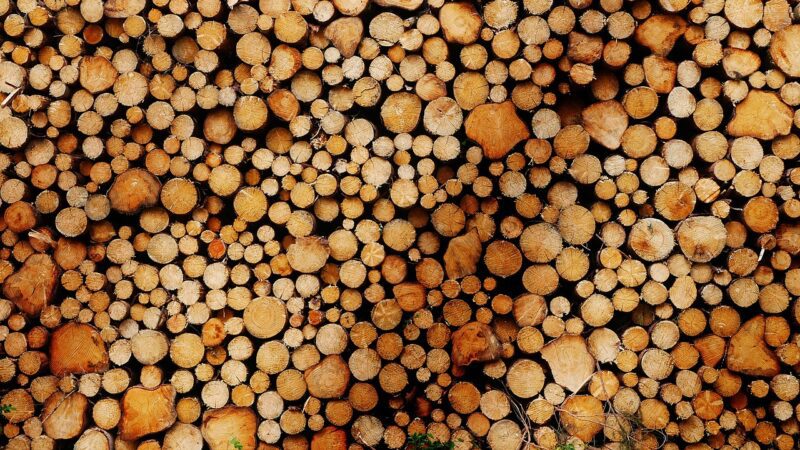 tecnologie biomassa